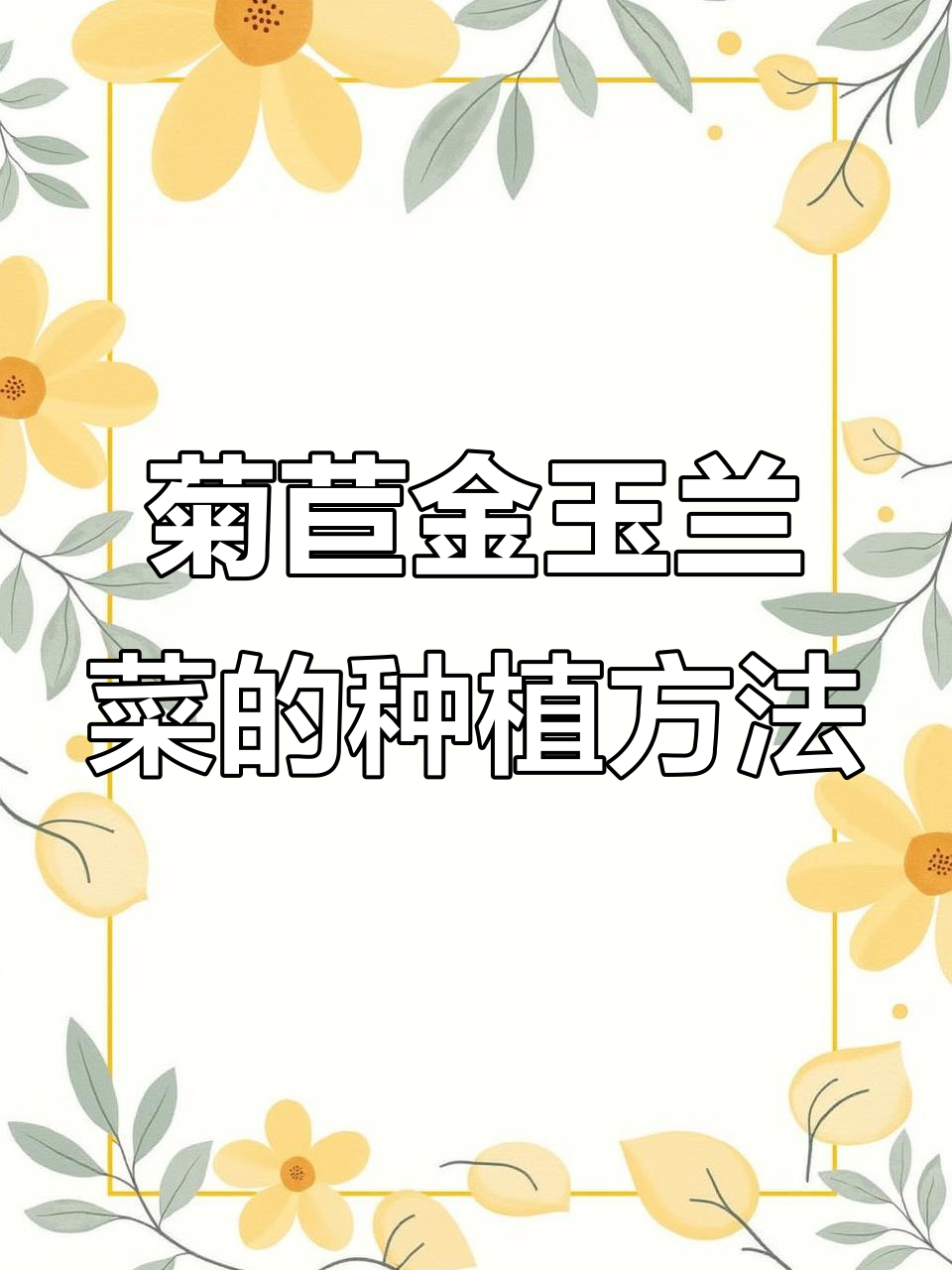 金玉兰菜种植技巧，轻松学会阳台小院皆可种