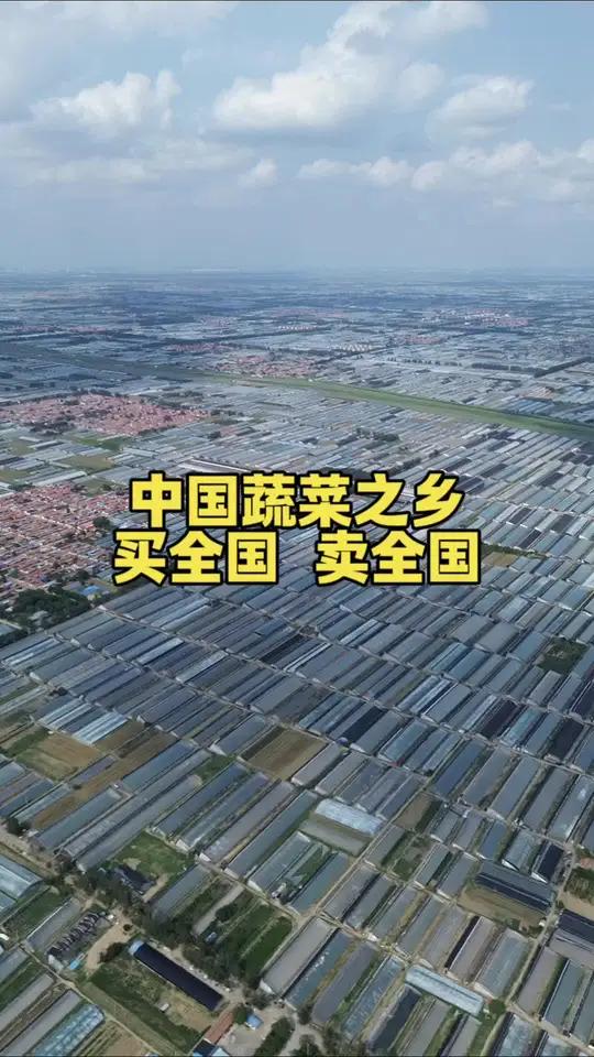 山东寿光中国的菜篮子，一座小县城影响全国菜价！