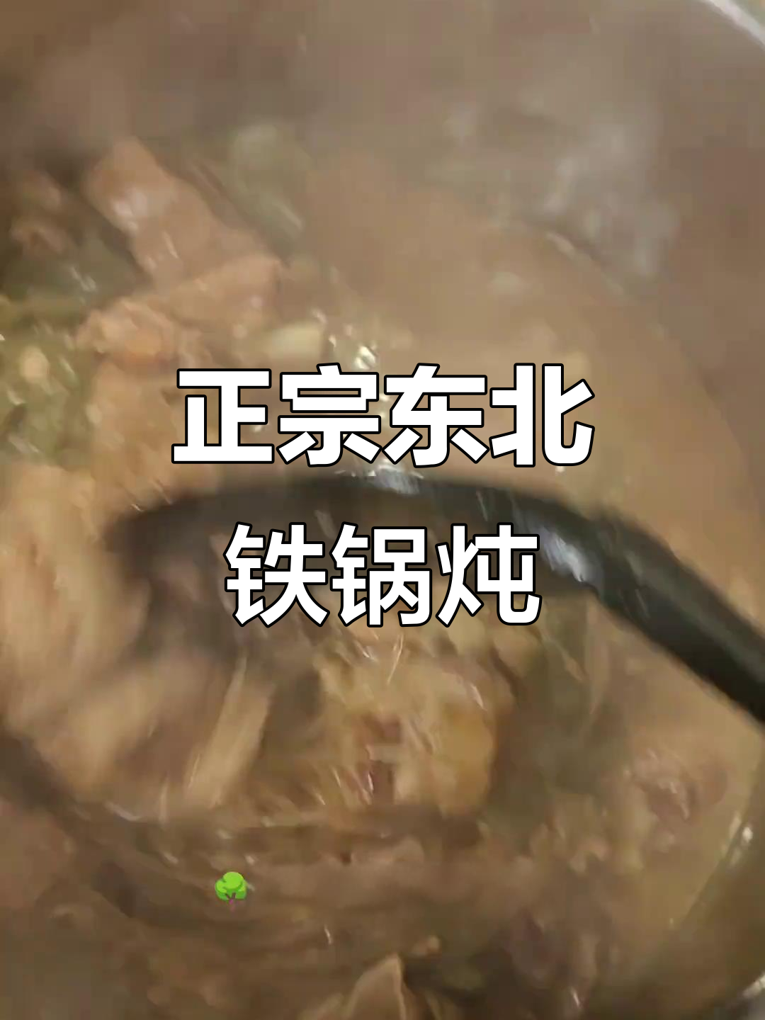德国东北也能做出正宗猪肉炖粉条,酱香十足!