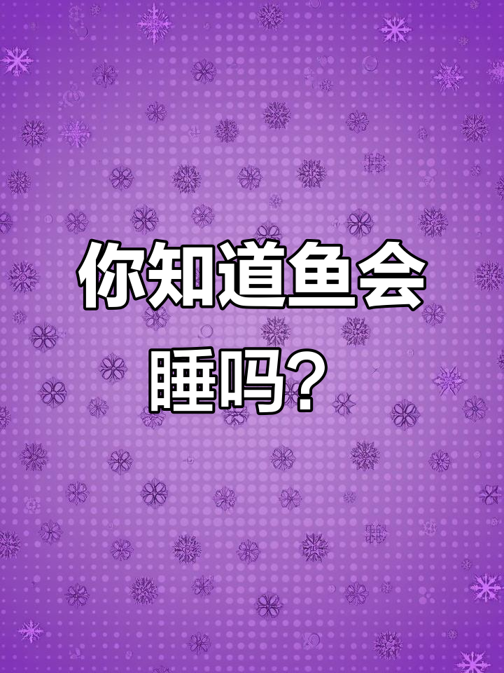 鱼睡觉的秘密,竟然是这样!