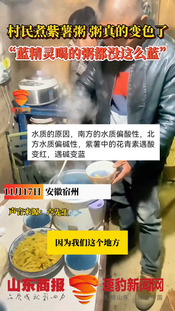 村民煮紫薯粥粥真的变色了。“蓝精灵喝的粥都没这么蓝。”