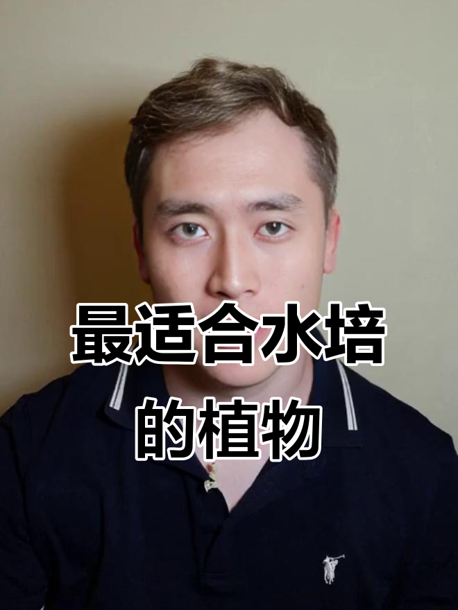 鱼缸里最适合养的水培植物,生姜和龟背竹最推荐