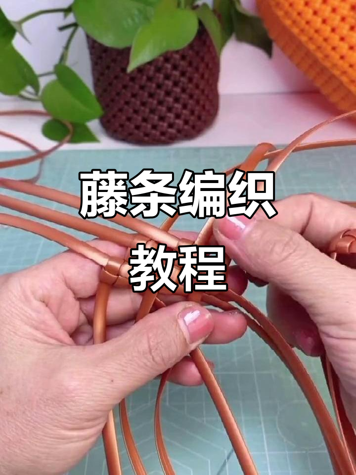 藤条编织技巧大揭秘,轻松学会菜篮子制作