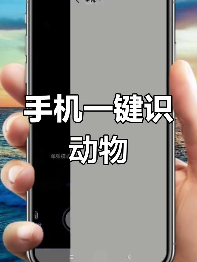 用手机快速识别动物,轻松拍照上传