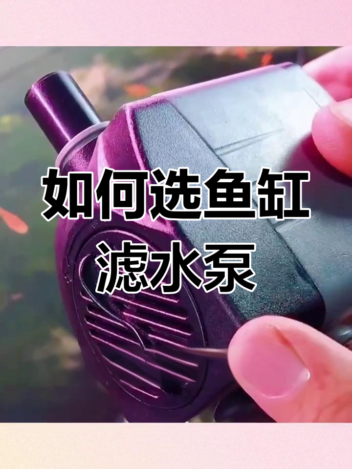 鱼缸过滤泵选择指南:流量、功率全解析