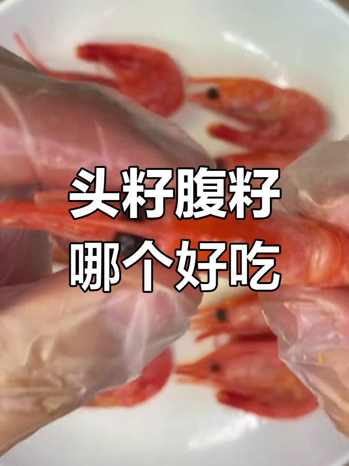 头籽与腹籽甜虾的口感差异解析