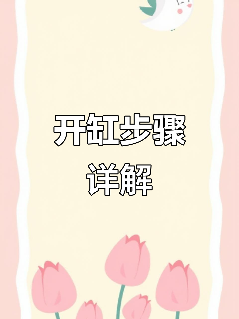 如何开缸养鱼?从加水到防堵全攻略