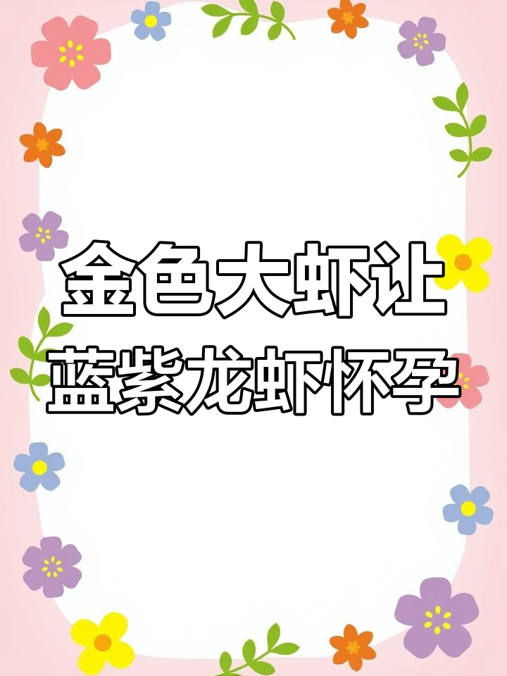 黄金龙虾基因太强,紫龙和狼龙都怀孕了!