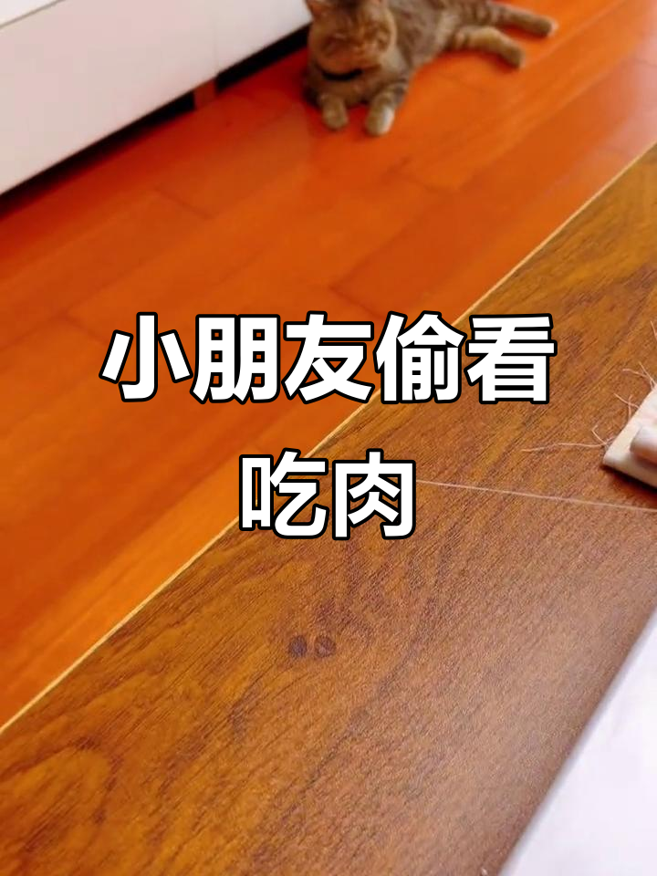 胖小朋友偷偷盯梢,等着吃肉肉的搞笑时刻