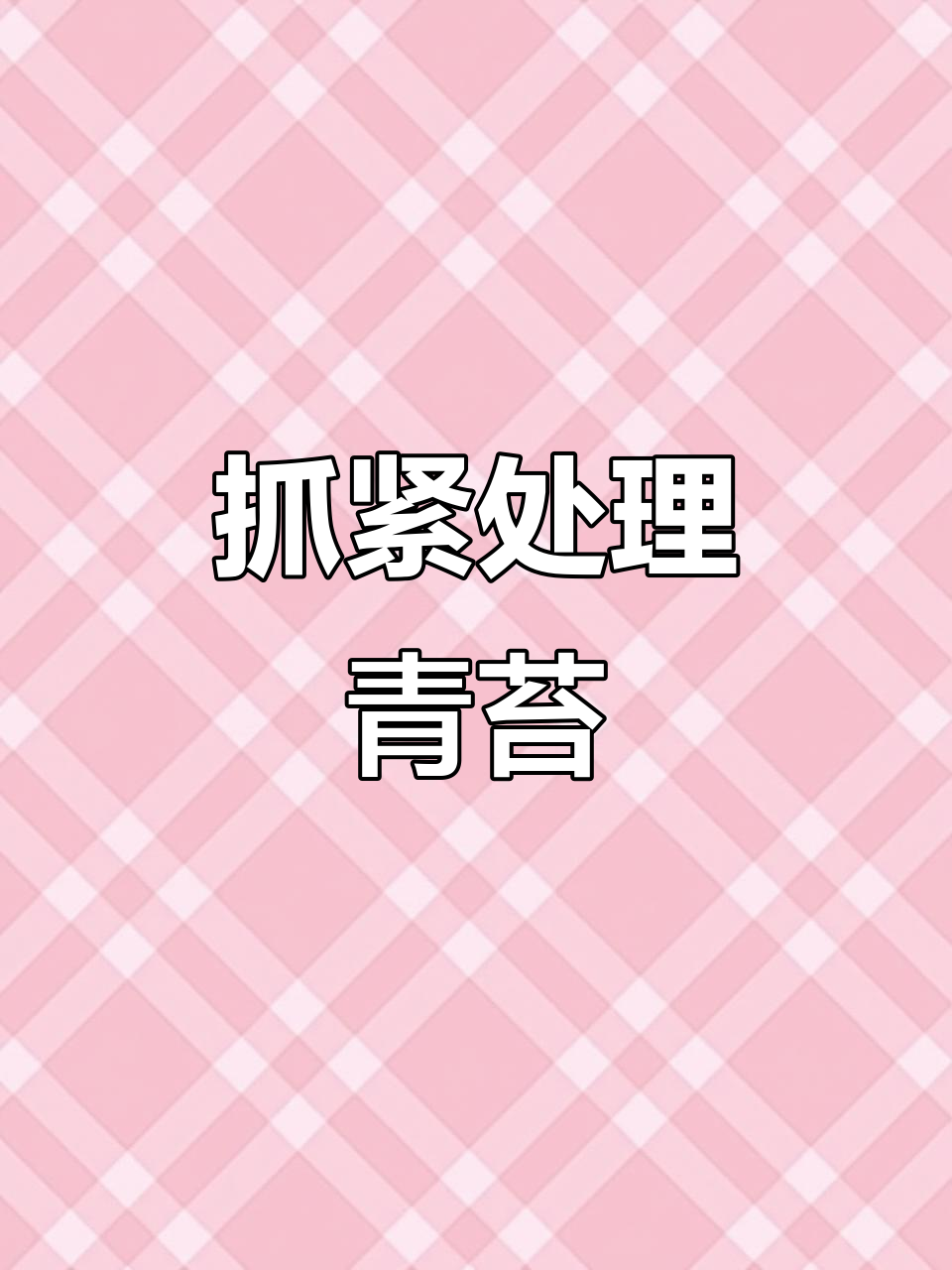 温度升高,青苔问题不容忽视!正确处理避免海参中毒