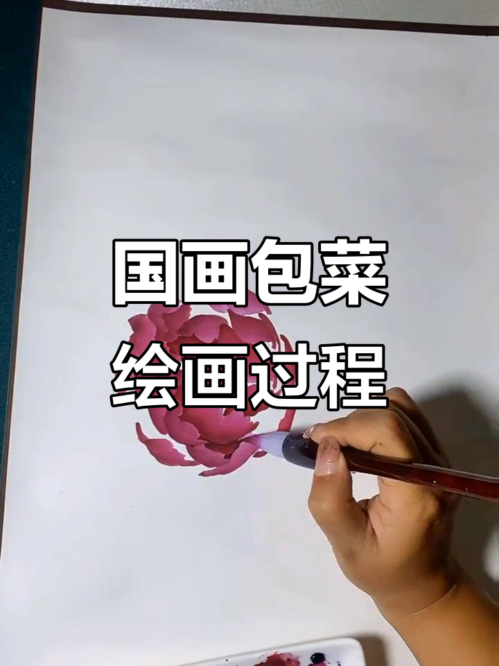 写生包菜与国画意境之美,感受牡丹花的魅力