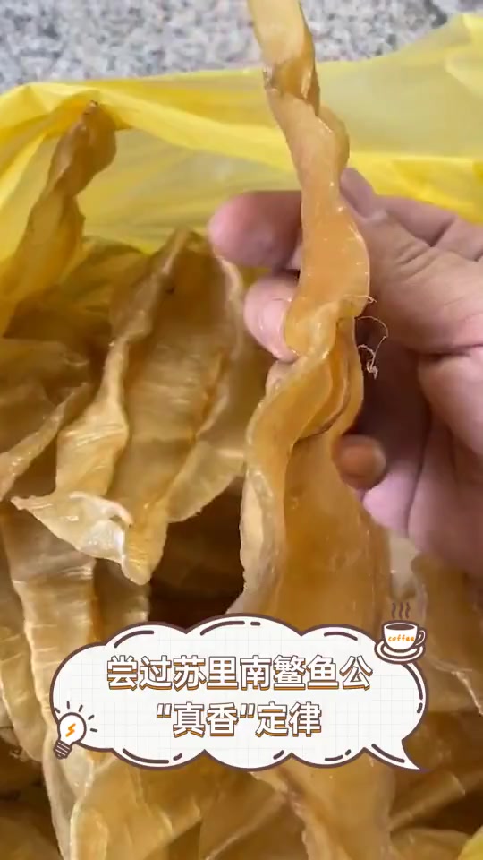 尝过苏里南鳘鱼公,“真香”定律