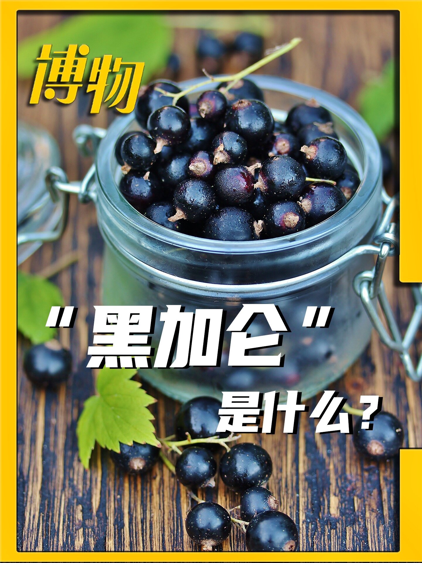 博物带你吃|你喝过黑加仑味的果汁吗?