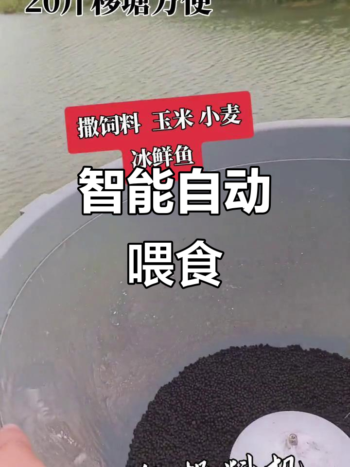 2023年自动投料机,多种饲料轻松投放!