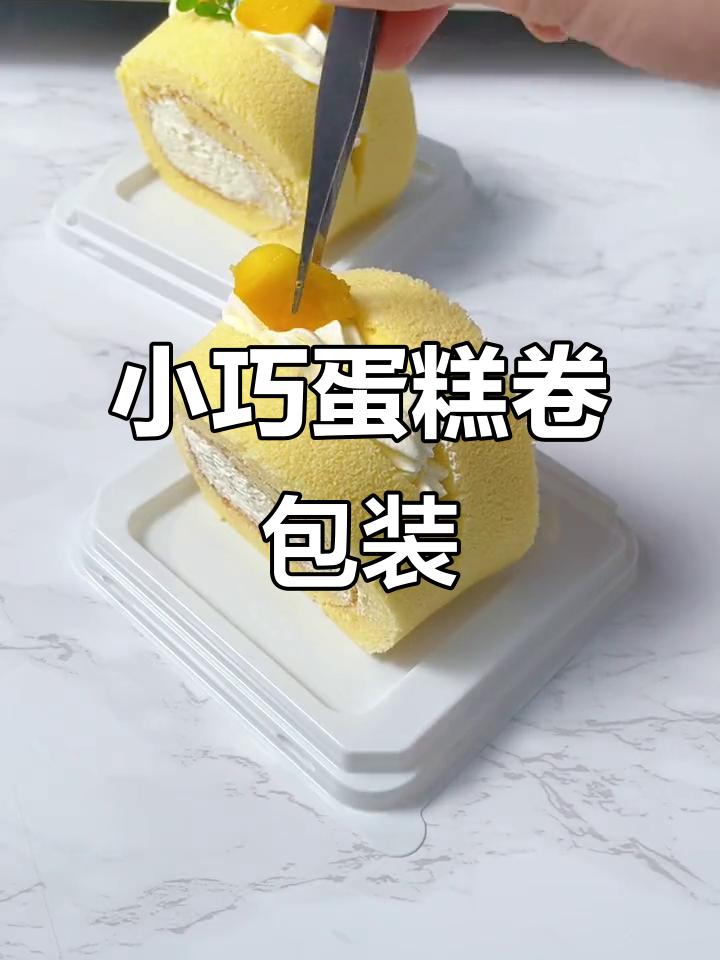 透明蛋糕卷包装盒，附独立叉子，轻松携带小甜品