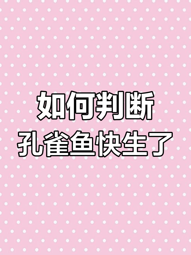 孔雀鱼生崽前兆,如何判断是否即将生产