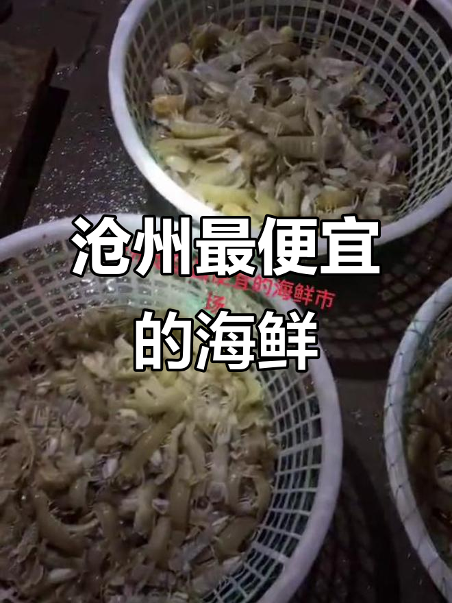 沧州海鲜市场大揭秘:超便宜海虾和皮虾,鱼也只要五块钱一斤