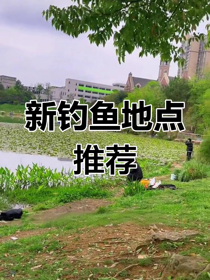 贵阳白云区与观山湖新钓点,鲫鱼连杆不断