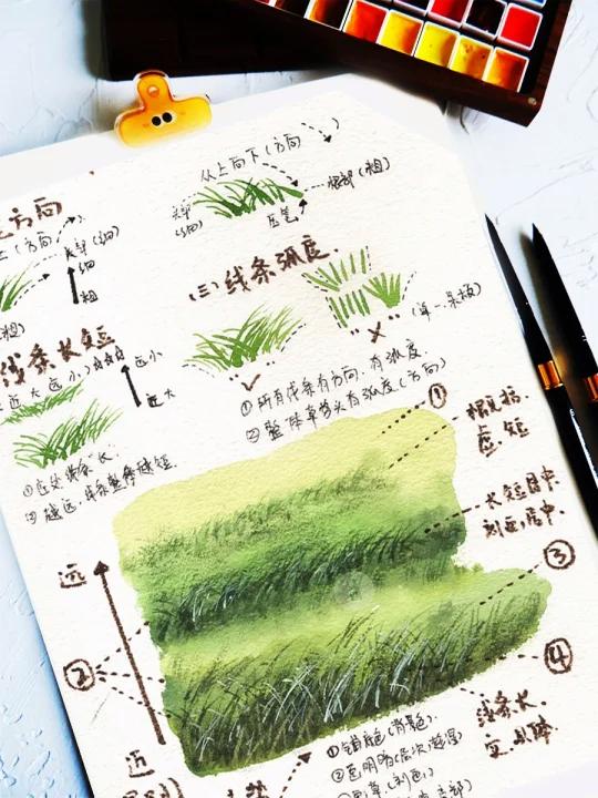 零基础学水彩|草和草丛的画法