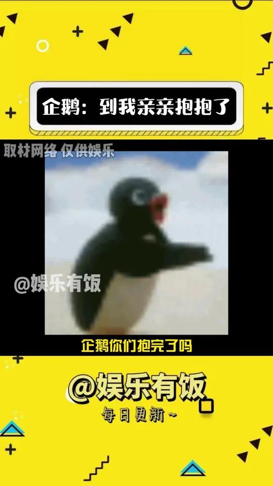 企鹅:到我亲亲抱抱了