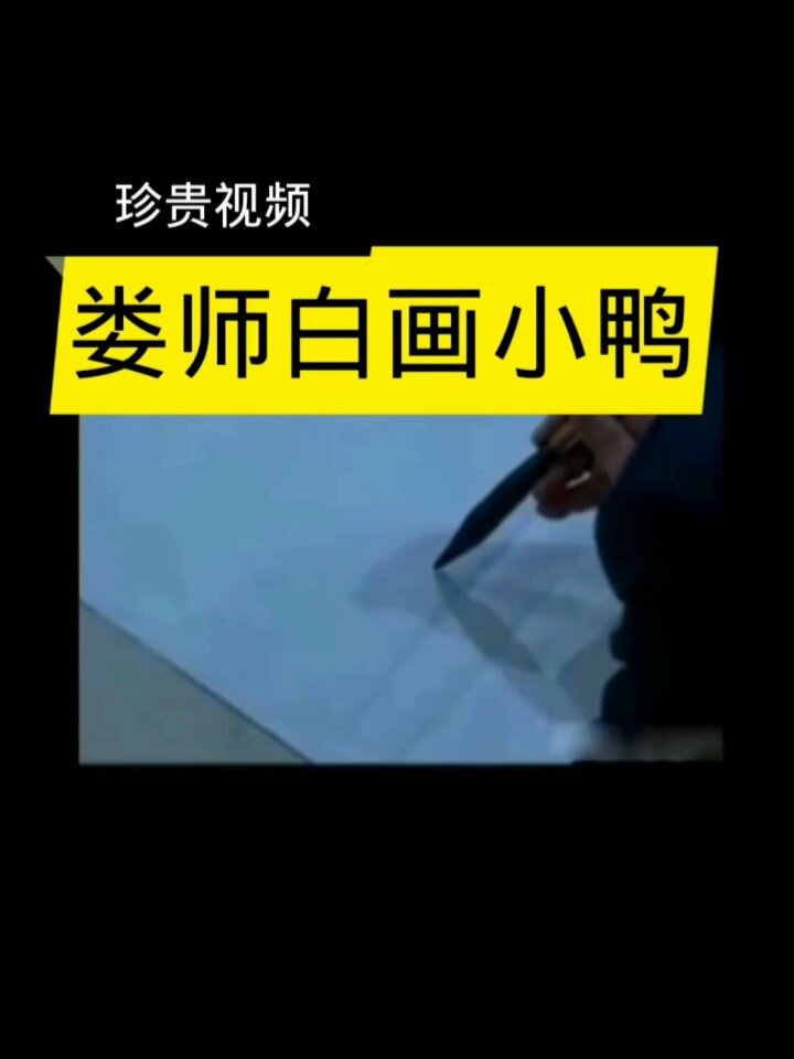 娄师白示范画小鸭珍贵视频