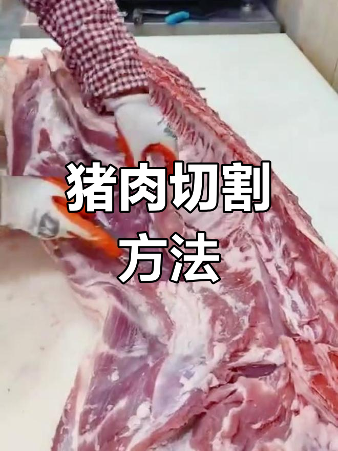 白条猪肉分割技巧全解析