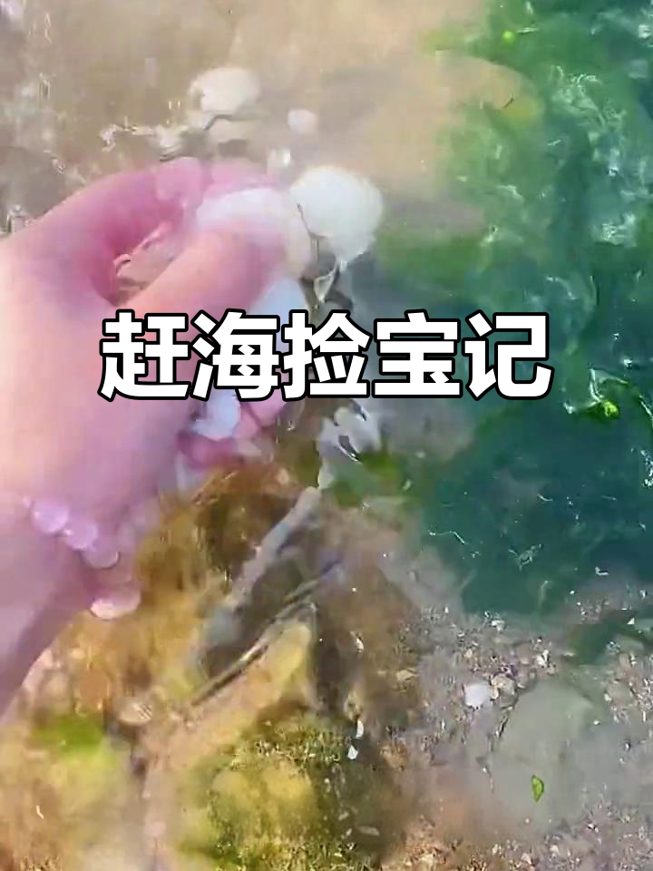 赶海抓海鲜，意外捡到“海鸡蛋”和彩色螳螂虾