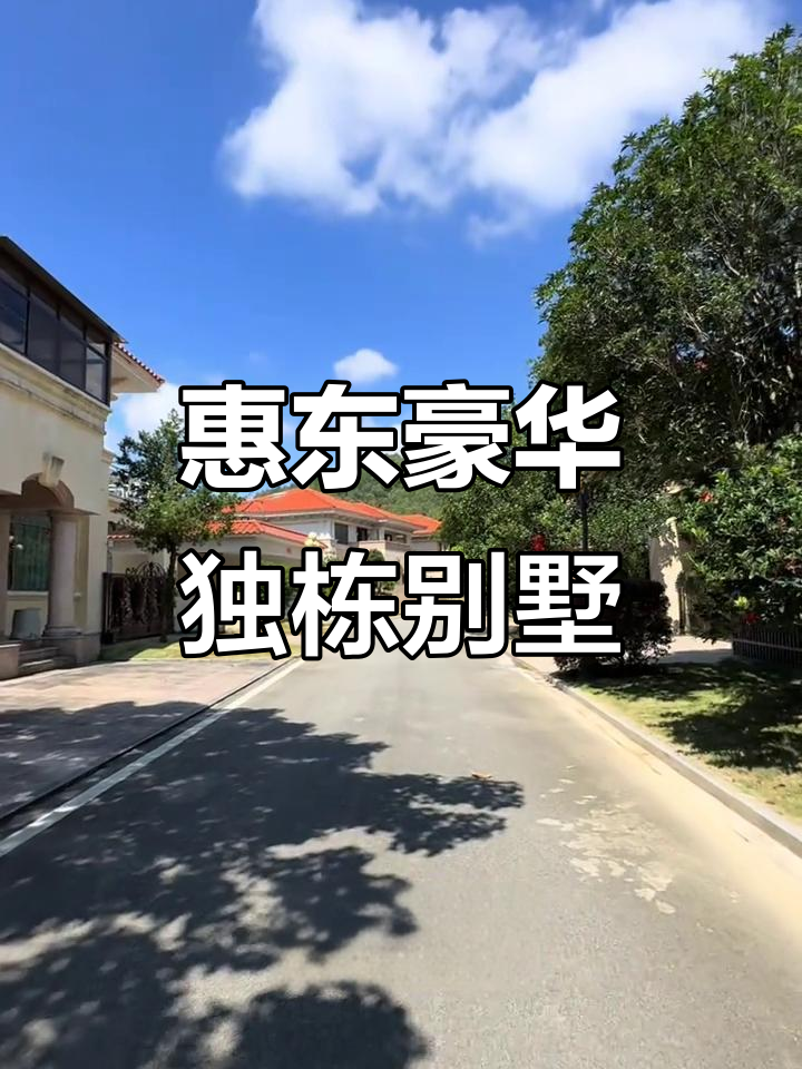 惠东维垃庄园独栋别墅，六房两层设计私家花园鱼池