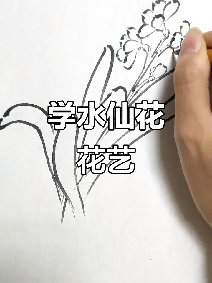 水仙花国画教程:从叶片到花瓣的细致刻画