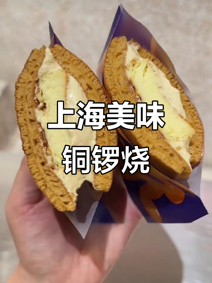 上海美食探秘:泽田本家铜锣烧与望湘园的美味之旅