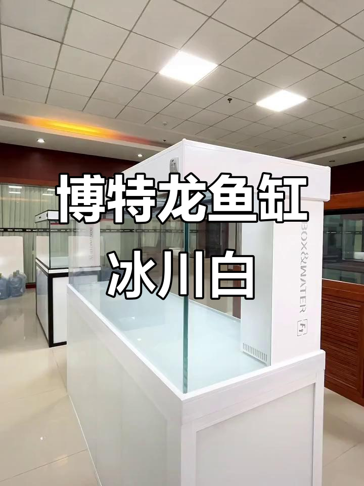 博特龙鱼缸冰川白配色,淡雅清新自然和谐