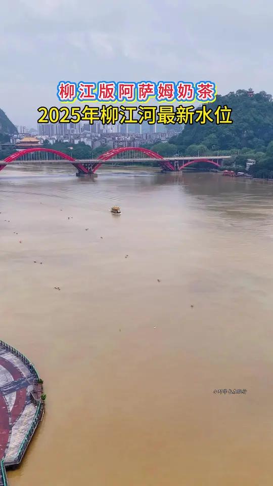 柳江河进入阿萨姆奶茶阶段!快带上表妹过来看