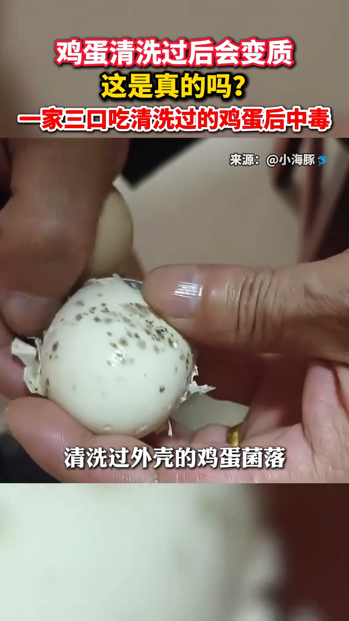 鸡蛋清洗过后会变质，这是真的吗？一家三口吃清洗过的鸡蛋后中毒