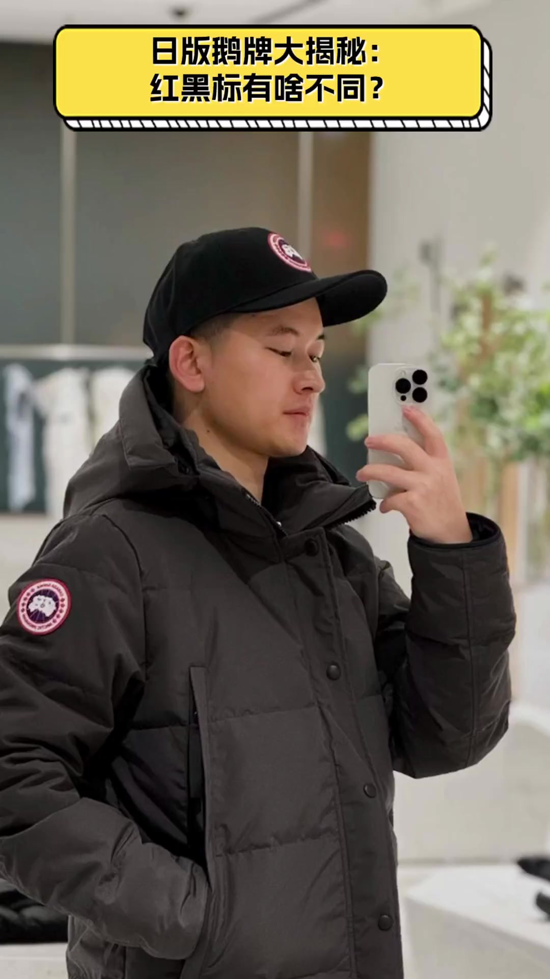 日版鹅牌大揭秘:红黑标有啥不同?