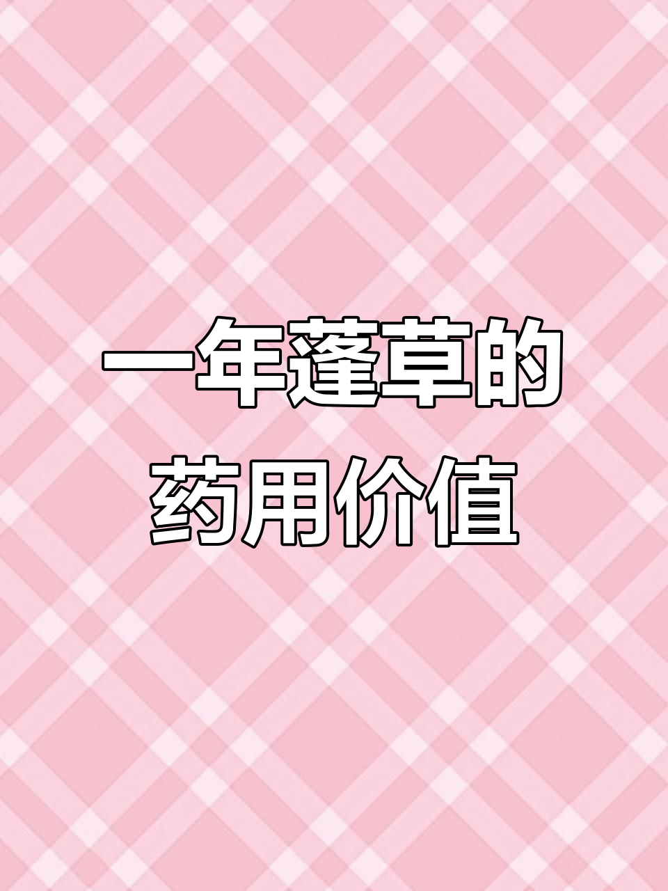 一年蓬草:别名治疟草,墙头油麻草的神奇功效