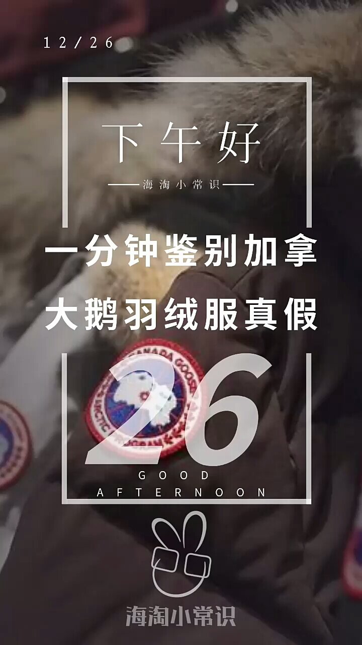 一分钟鉴别加拿大鹅羽绒服真假