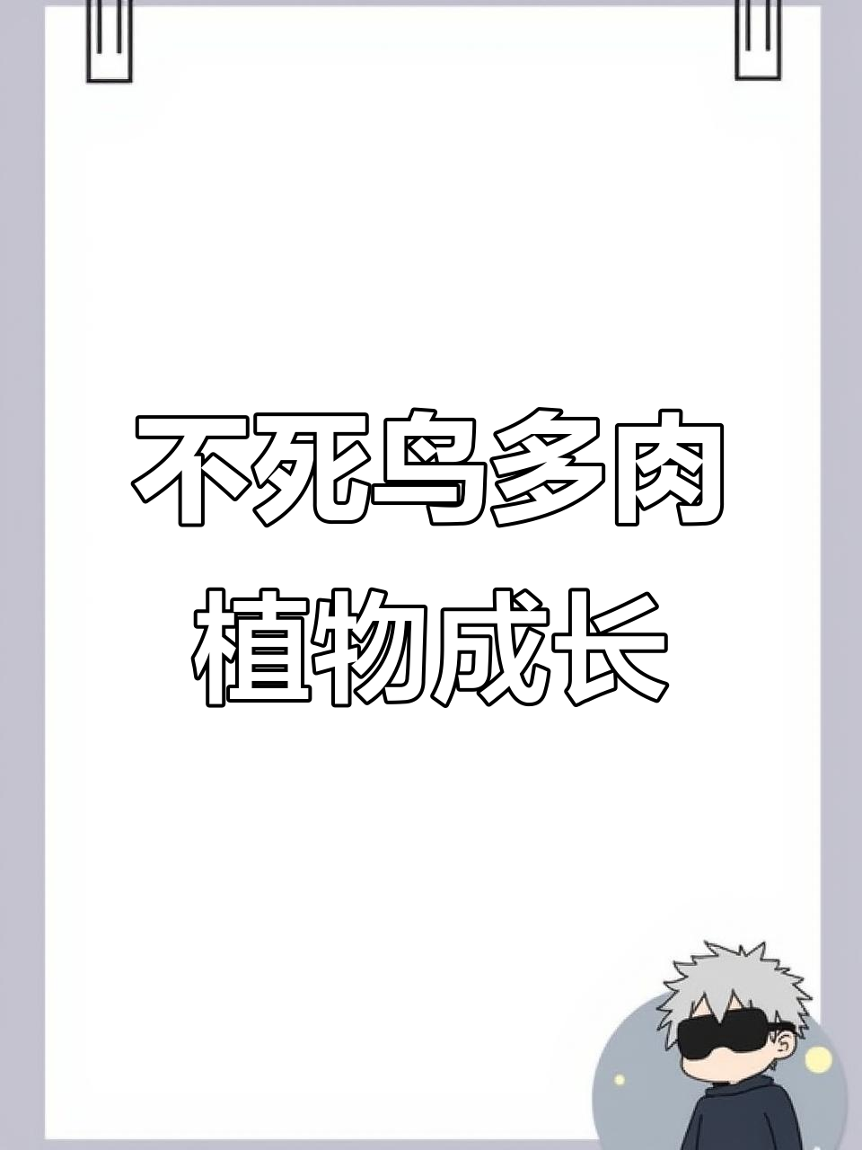 阳台绿植日常:不死鸟多肉植物的成长记录