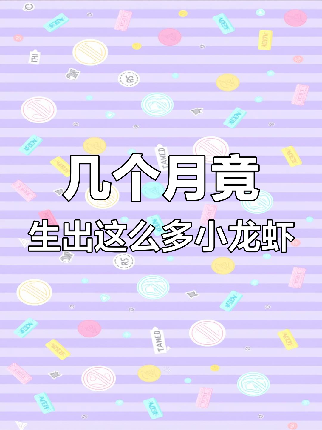 小龙虾养了几个月,竟然生这么多小龙虾宝宝!