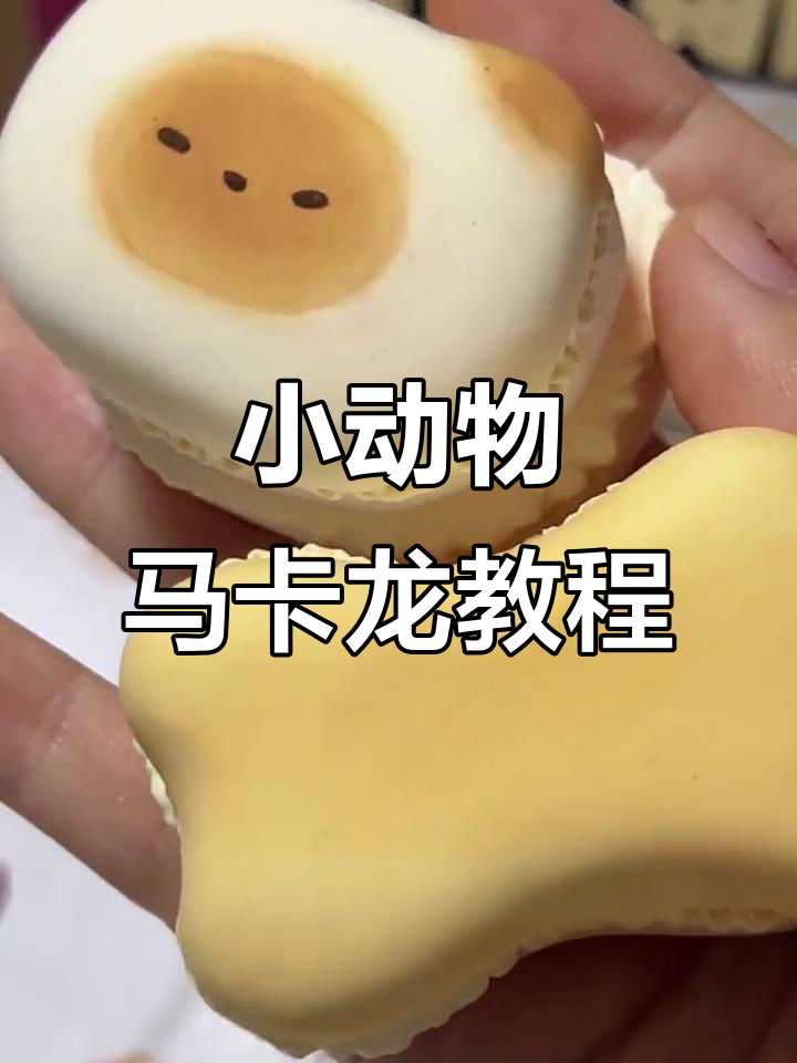 超轻粘土小面包,猫狗马卡龙大变身!