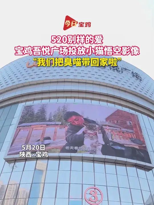 5月20日,宝鸡吾悦广场商场大屏投放网红小猫“悟空”影像,配文:这里是悟空小朋友的家乡,我