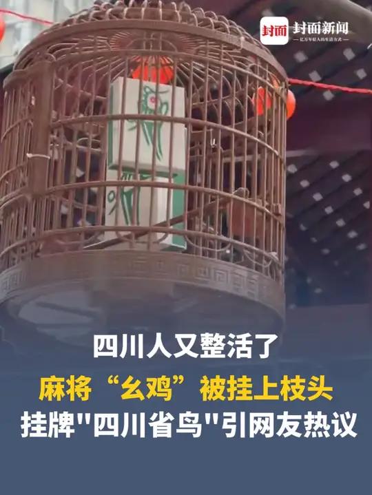 四川人又整活了，麻将“幺鸡”被挂上枝头，挂牌“四川省鸟”引网友热议，鸟语竟是“幺鸡二条不打