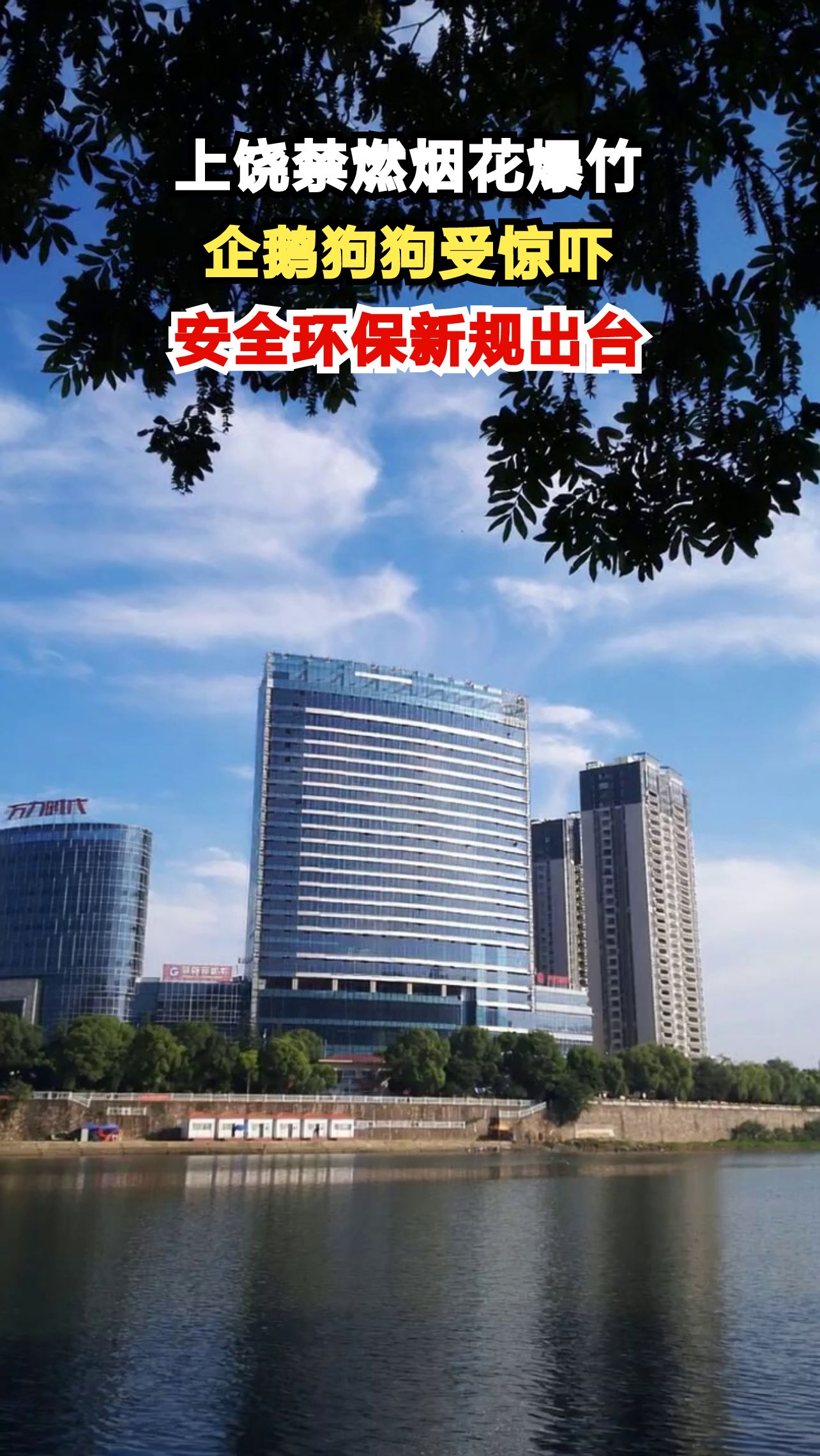 上饶新规禁燃烟花爆竹,企鹅狗狗被吓跑,你怎么看?