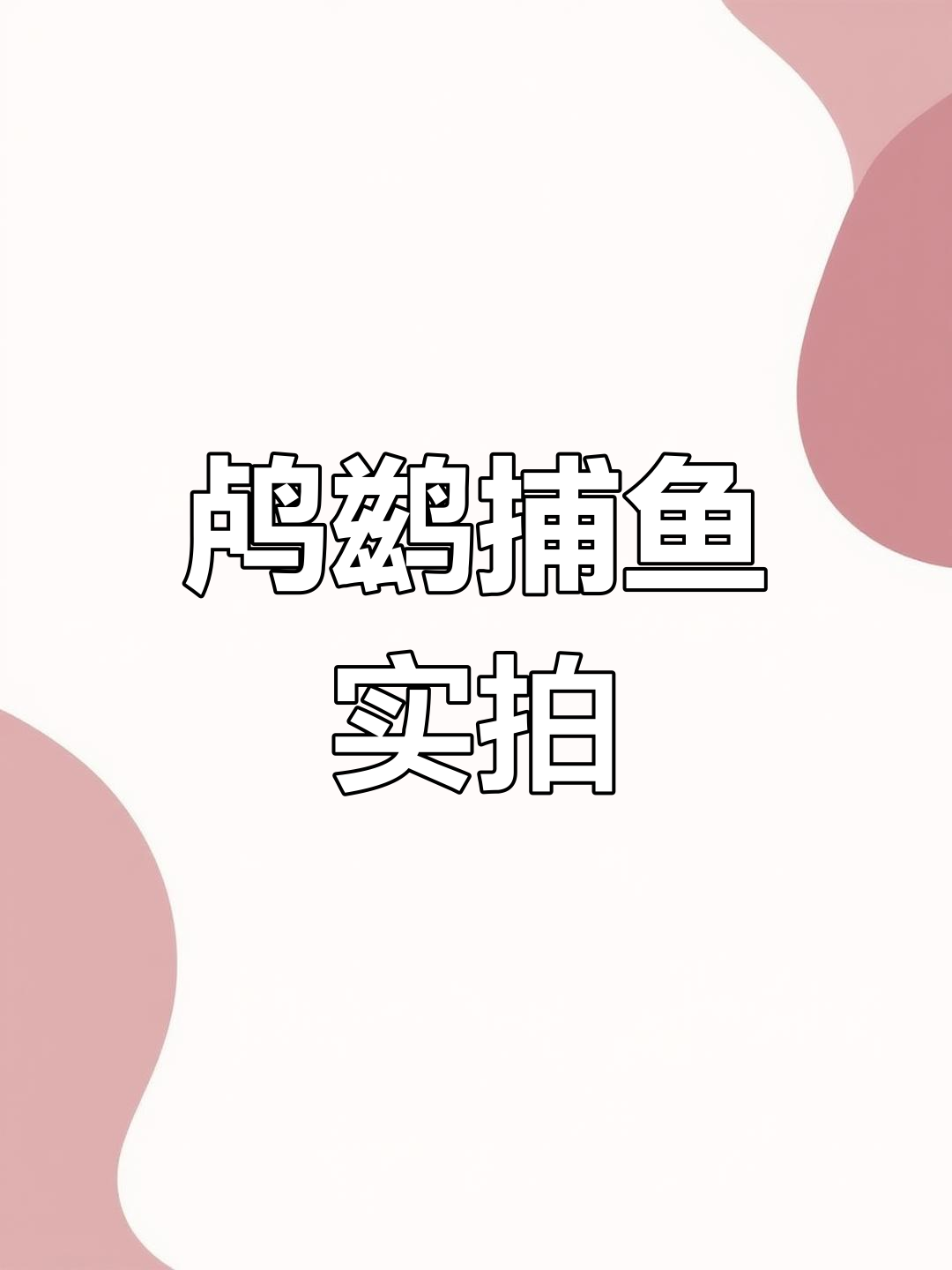 微山湖渔民捕捞现场,鱼鹰抓草鱼的惊险瞬间