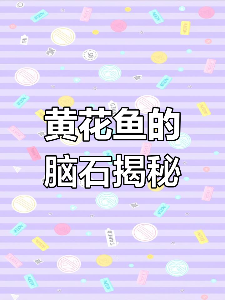 黄花鱼脑袋里的“石头”究竟是什么?竟然有这些作用!