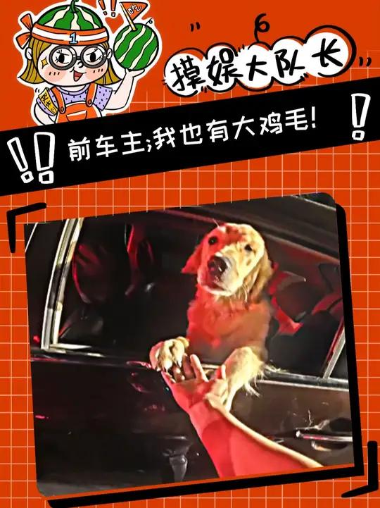前车主：我有大鸡毛！