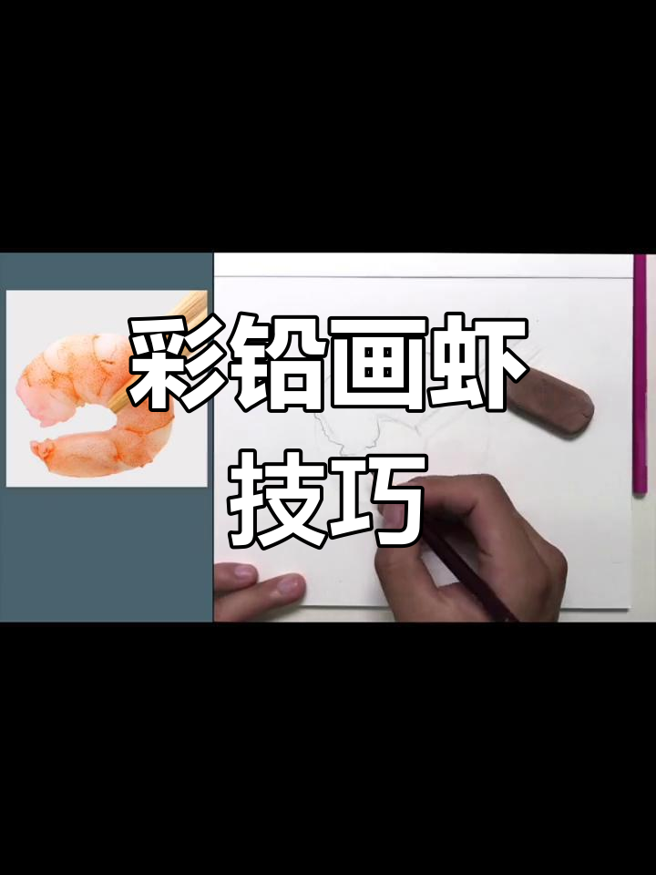彩铅虾肉绘制技巧:如何准确表现细节