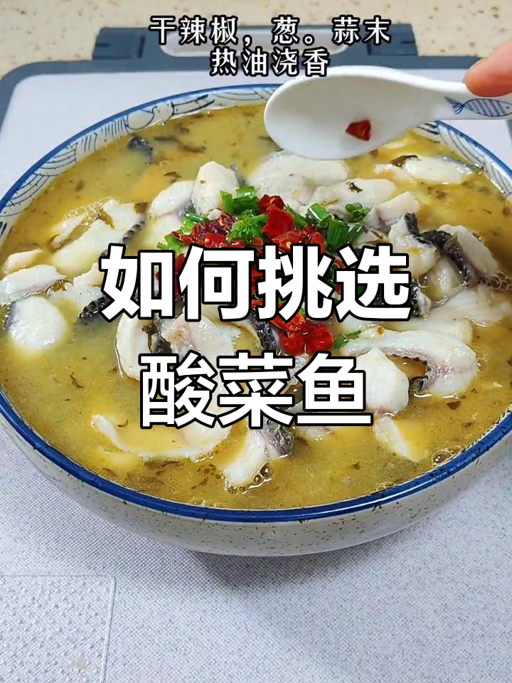 酸菜鱼用什么鱼做最美味?