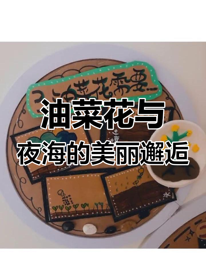 环创幼儿园油菜花探秘,夜海之旅等你来体验