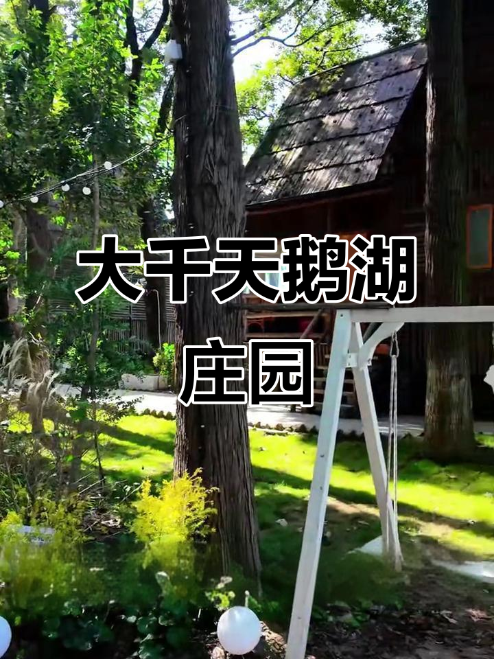 朱家角旁的大千天鹅湖庄园,淀山湖美景尽收眼底