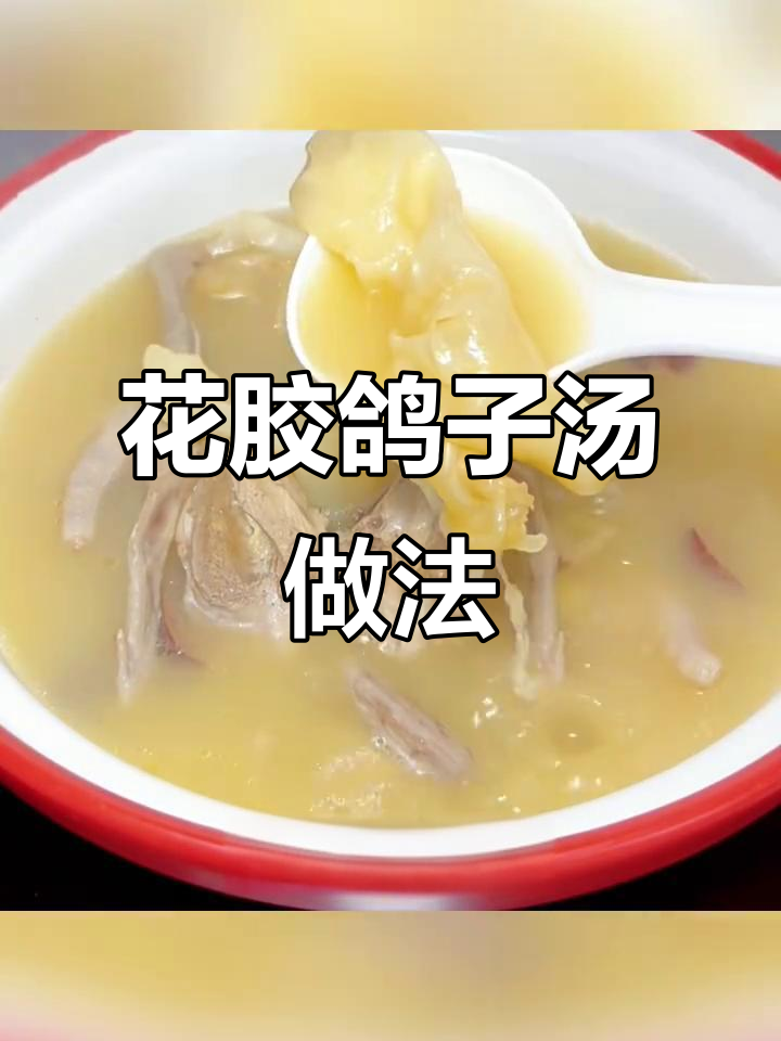 零失败花胶鸽子汤,滋补又美味